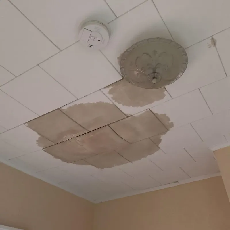 Ceiling Water Damage Repair in Stillman Valley, IL