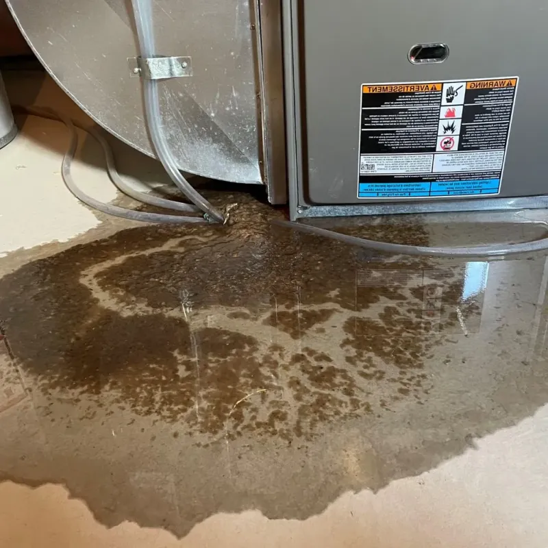 Pipe Burst and Leak Restoration in Stillman Valley, IL
